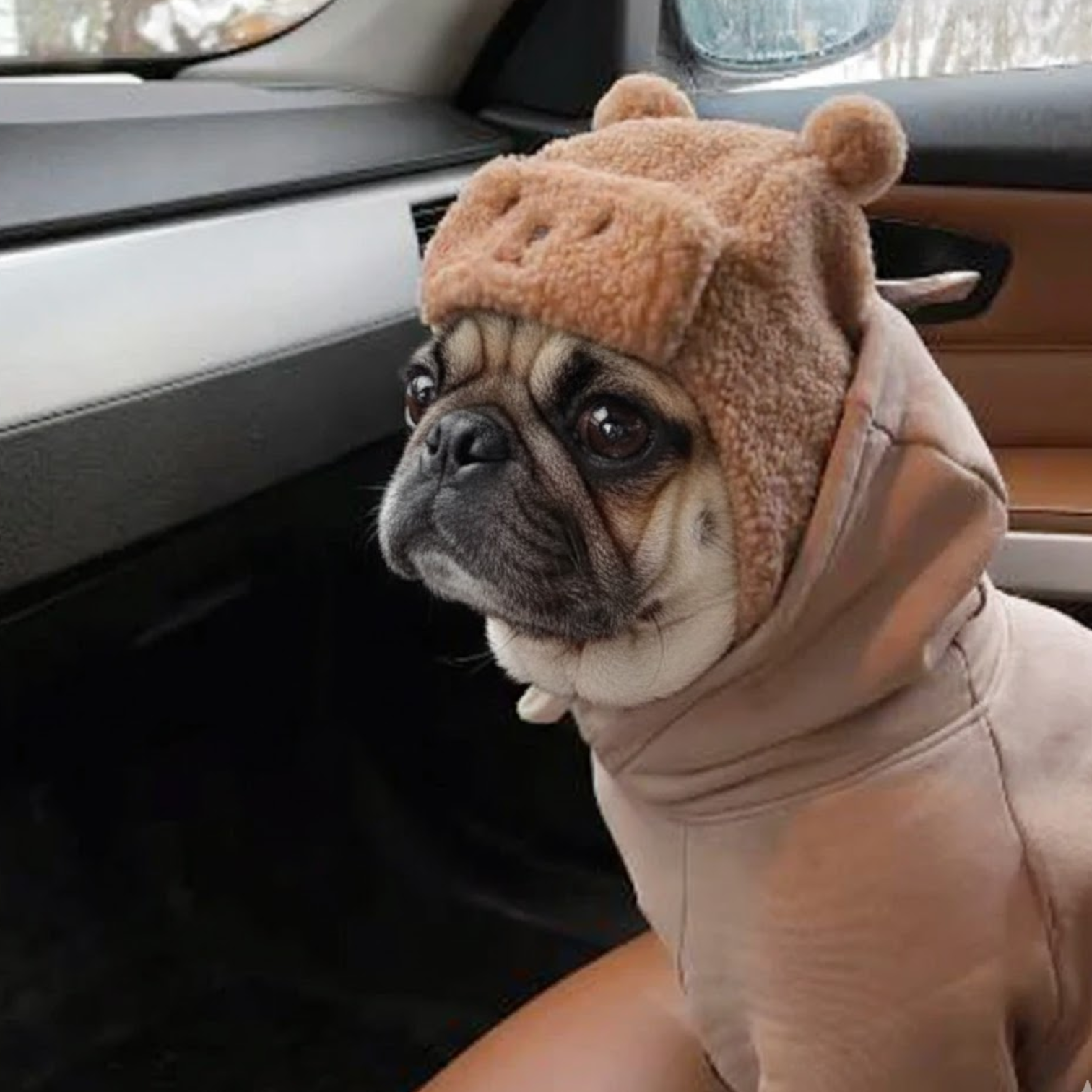 WoolyPaw-Pug-Adorable-Winter-Hat.jpg