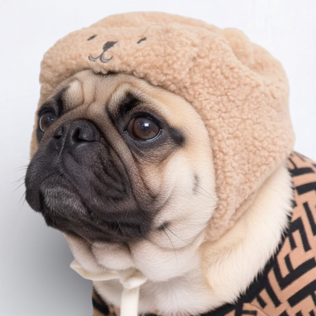 WoolyPaw-Pug-Adorable-Winter-Hat.jpg