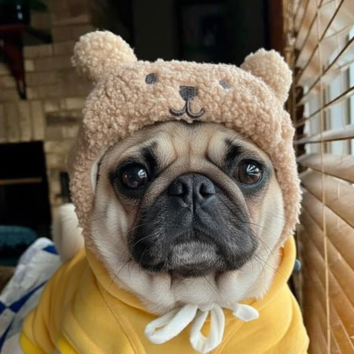 WoolyPaw-Pug-Adorable-Winter-Hat.jpg