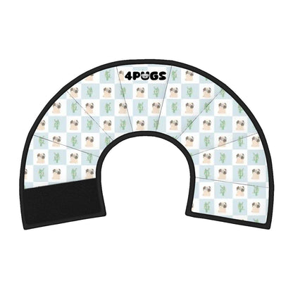 Bruno - Elizabethan Cone Collar Pug Fit