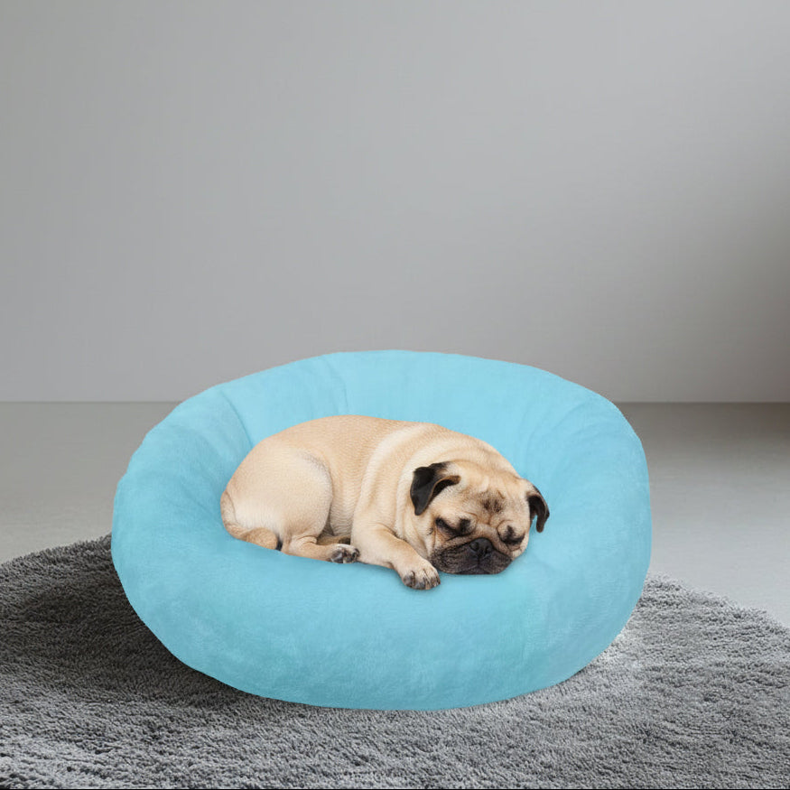 Loki - Bed For Pug