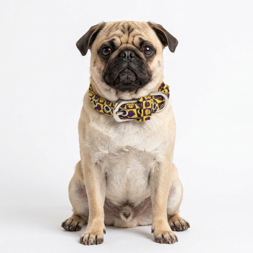 Scout - Adjustable Pug Collar