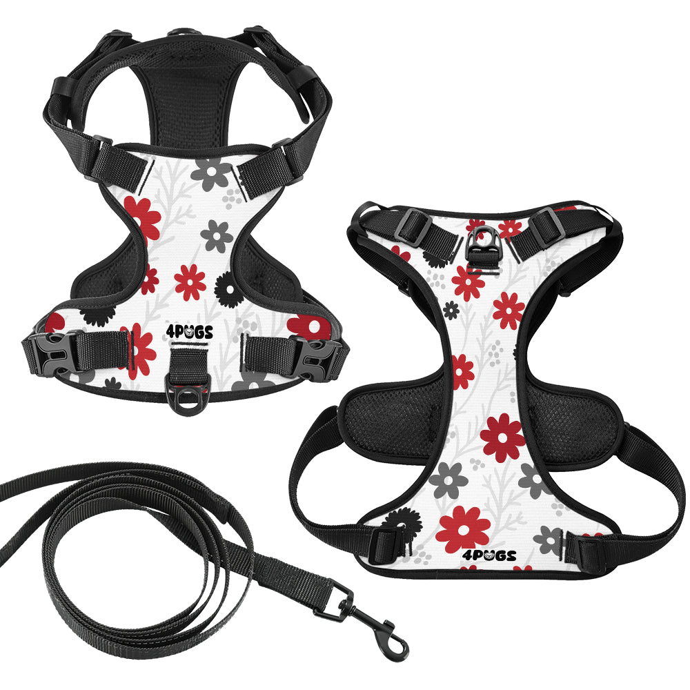 Charlie - Pug Dog Harness