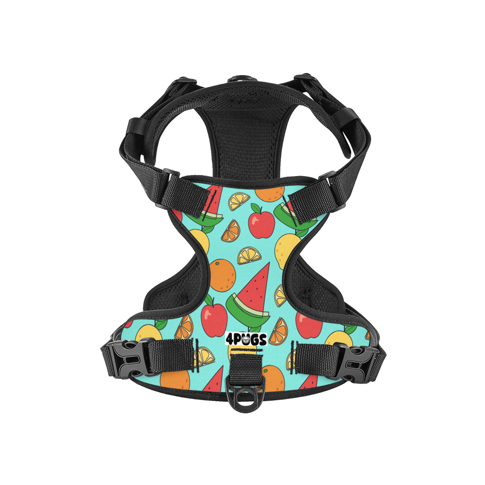 Toby - Pug Dog Harness