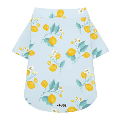Milo - Pug Hawaiian Shirt