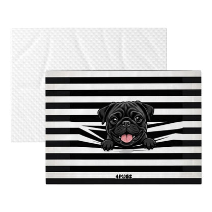Daisy - Pug Blanket