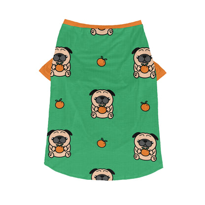 Zara - Pug Wool Sweater