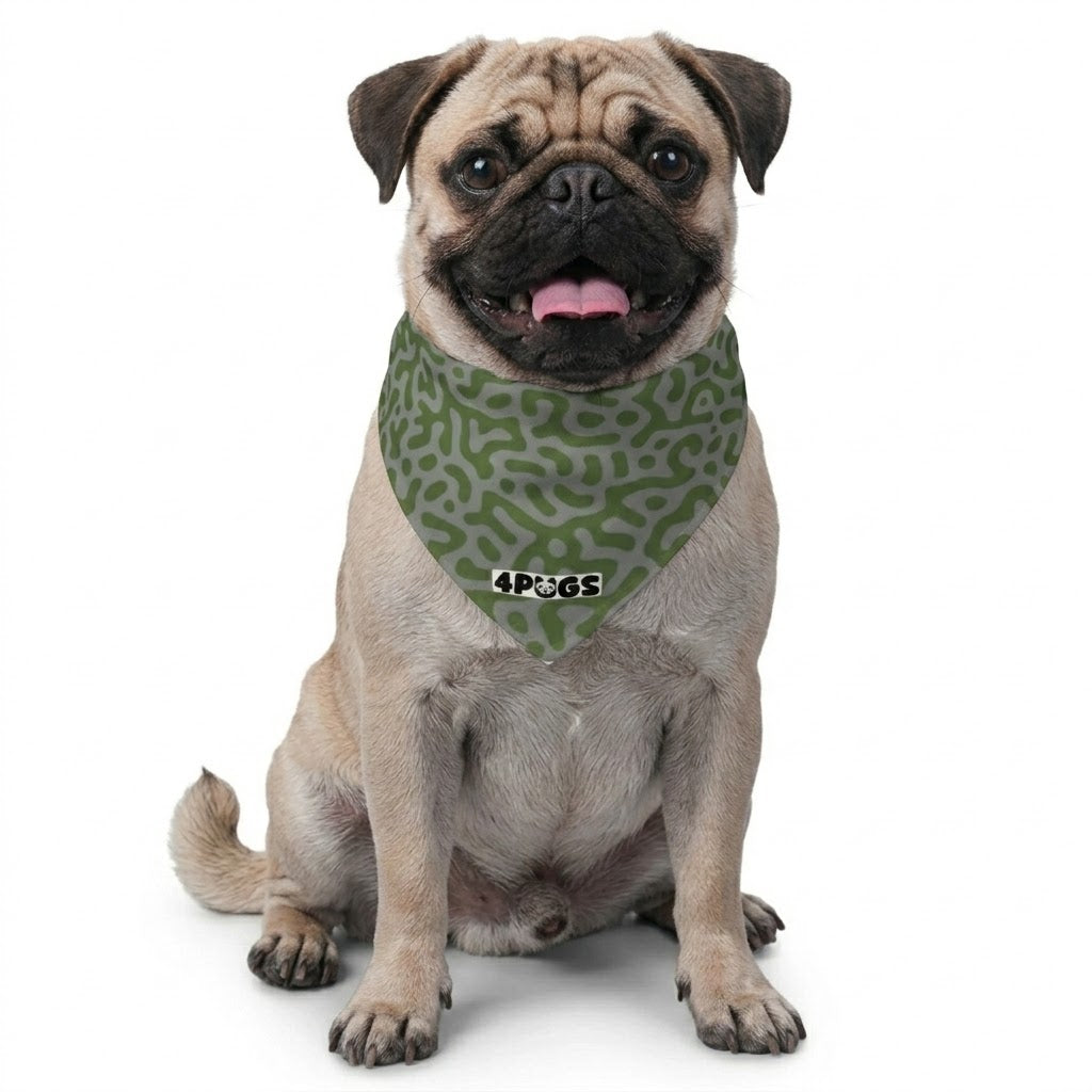 Loki - Pug Bandana