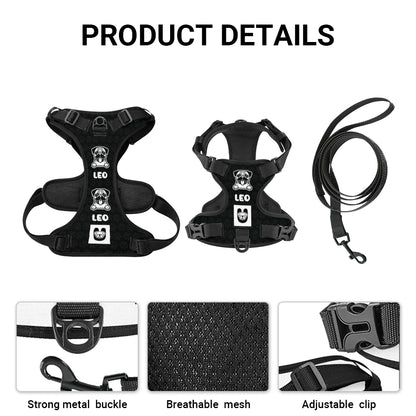 Winston - Personalized No-Pull Pug Dog Harness