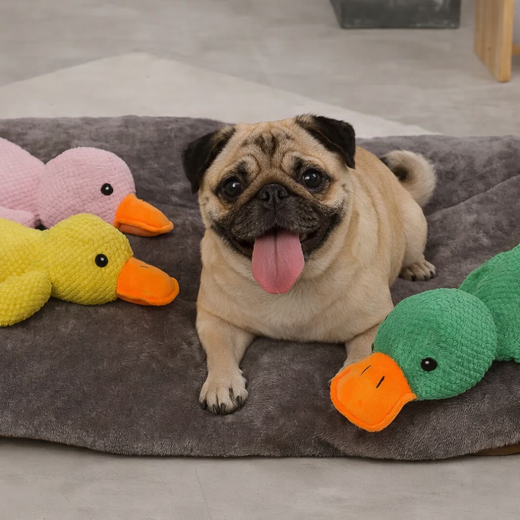 Quackzy Pug Duck Chew Toy – Interactive Squeaky Plush Duck for Dogs