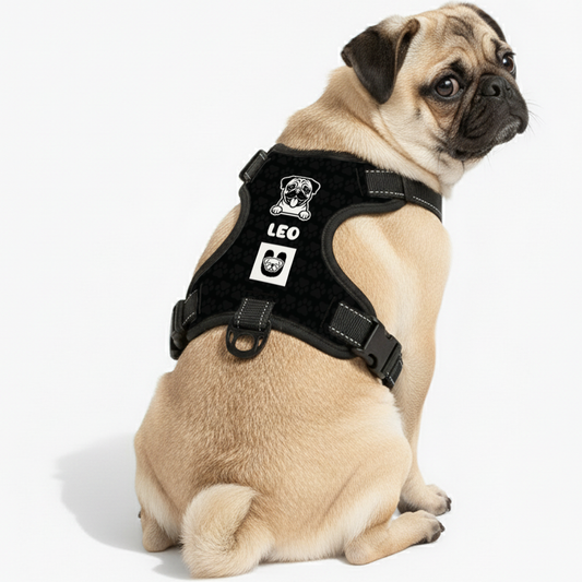 Winston - Personalized No-Pull Pug Dog Harness