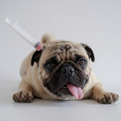 pug halloween prop set