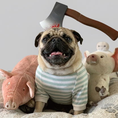 pug halloween prop set