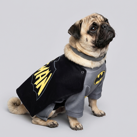 batpug dark knight cosplay costume