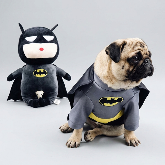pug superhero costume with black cape