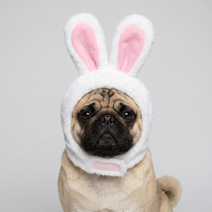 pug wearing plush bunny ears