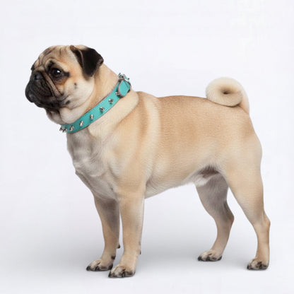 SpikeOn Pug Adjustable Collar – Studded Leather Collar for Style Comfort