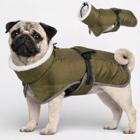 FrostPaw Pug Reflective Winter Coat – Adjustable Buckle & Fleece Turtleneck Jacket