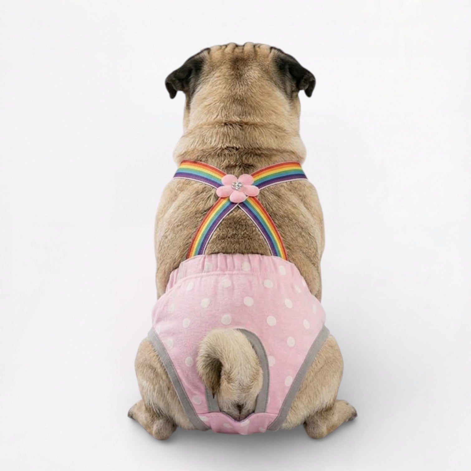 PawLina-Pug-Washable-Diaper-Dress.jpg
