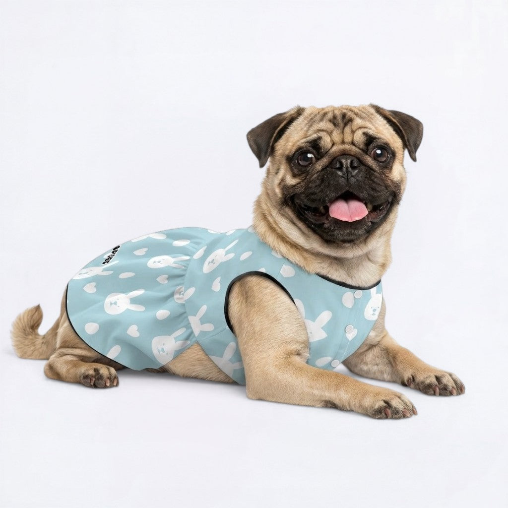 Mochi - Pug Princess Dress