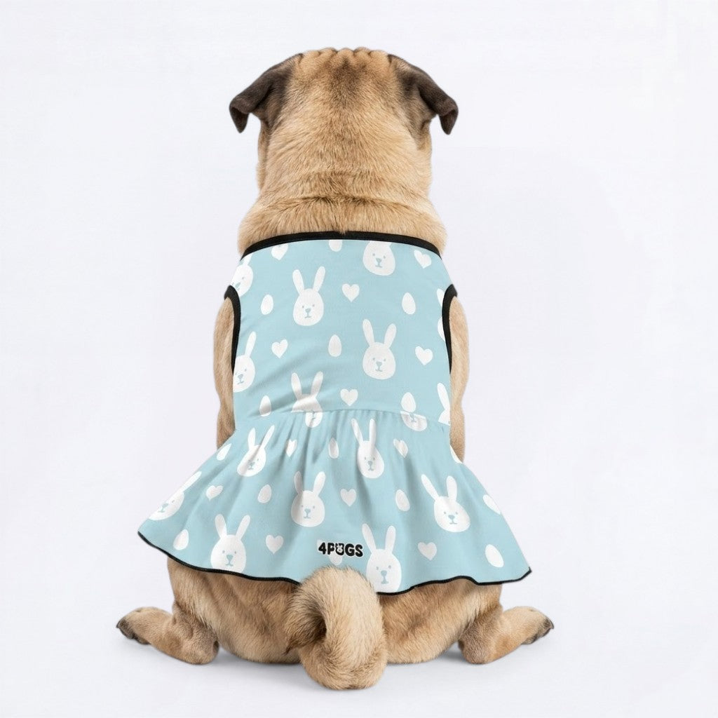 Mochi - Pug Princess Dress