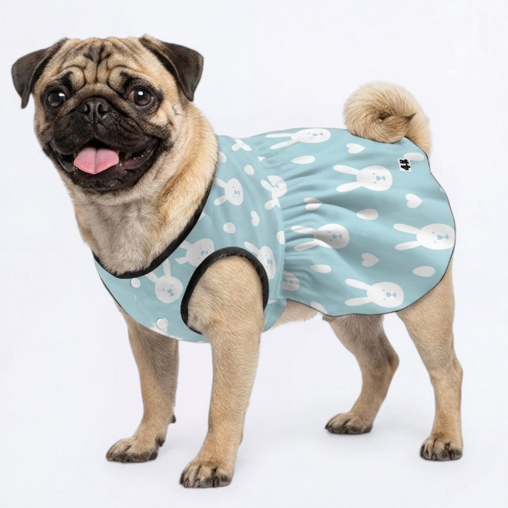 Mochi - Pug Princess Dress