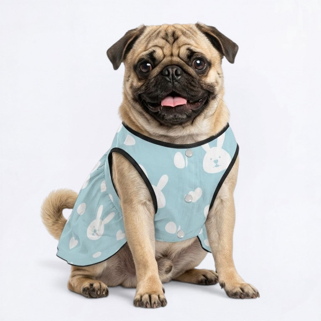 Mochi - Pug Princess Dress