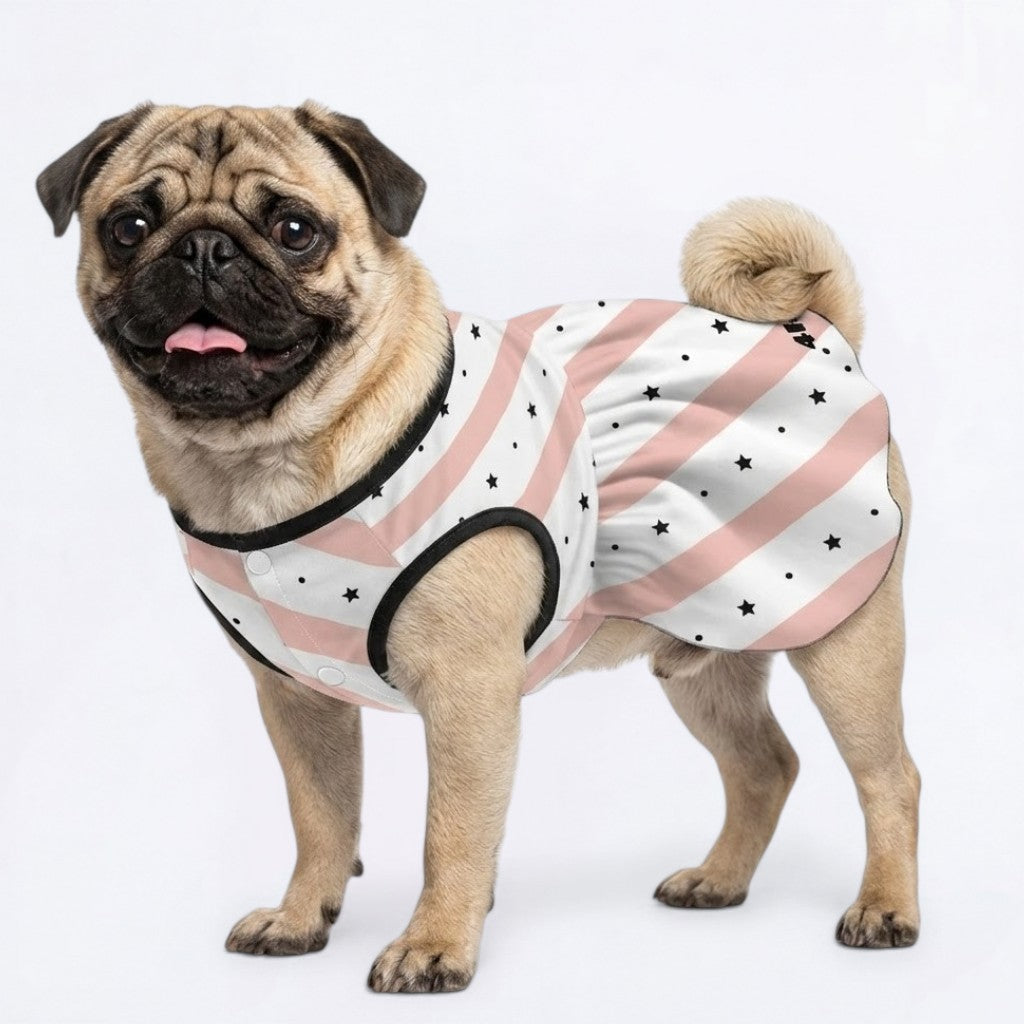 Daisy - Pug Princess Dress