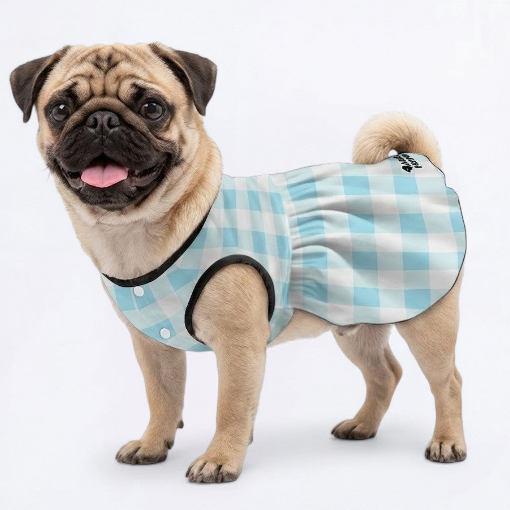 Ginger - Pug Princess Dress