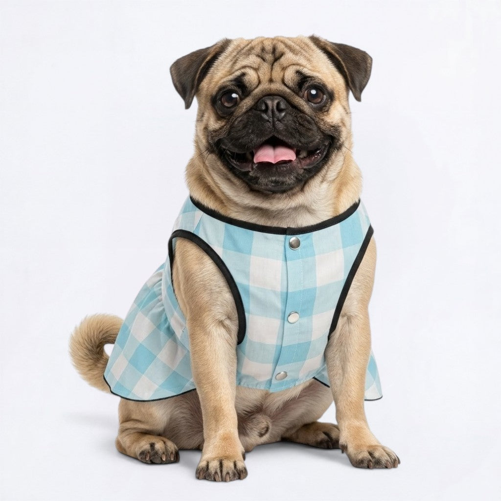 Ginger - Pug Princess Dress