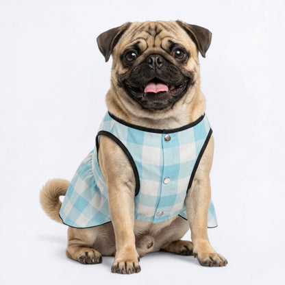Ginger - Pug Princess Dress