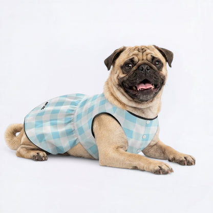 Ginger - Pug Princess Dress