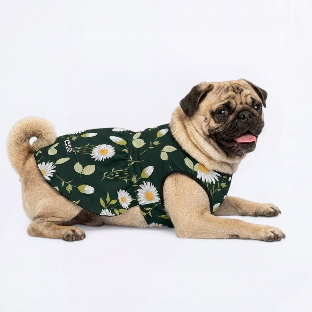 Bonnie - Pug Princess Dress