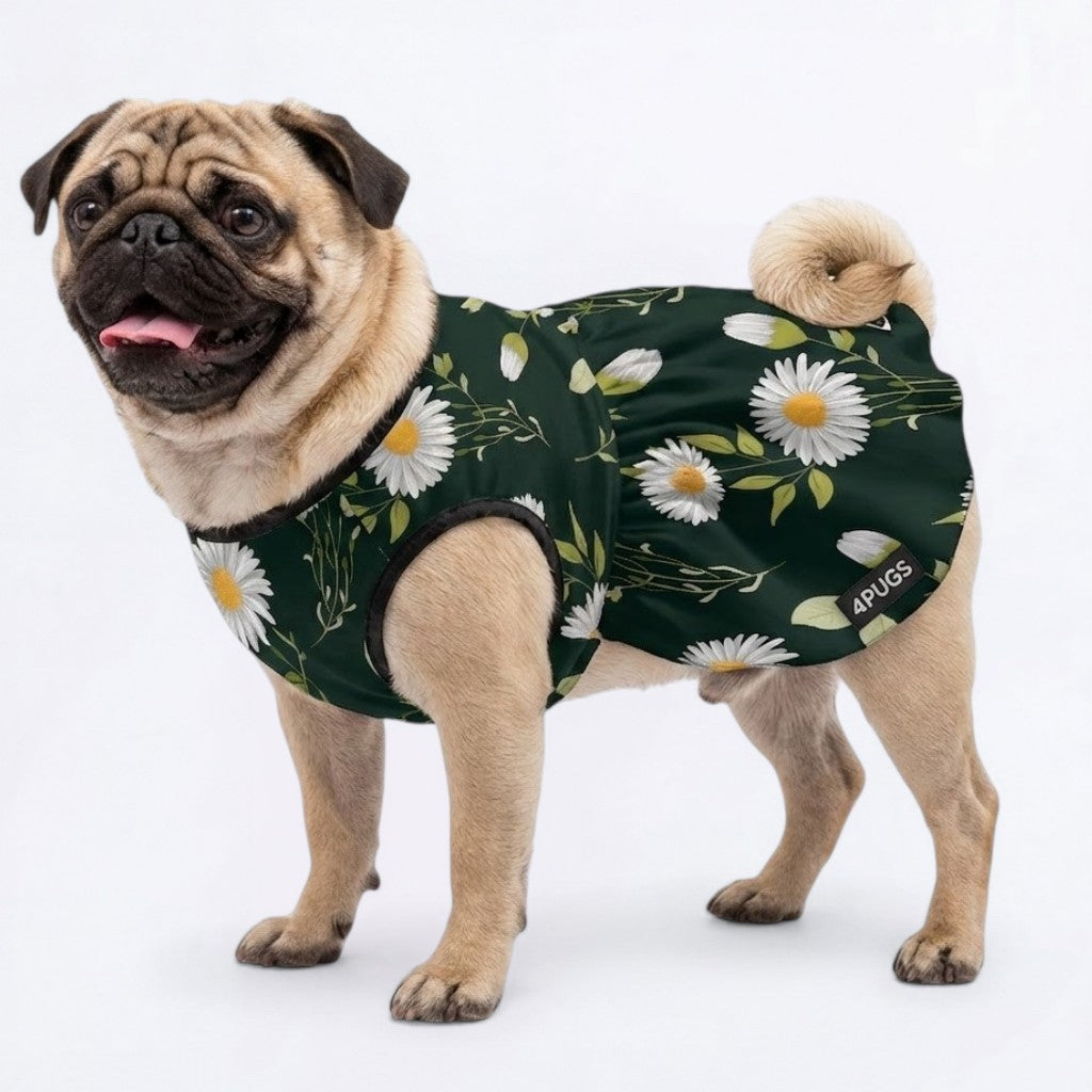 Bonnie - Pug Princess Dress
