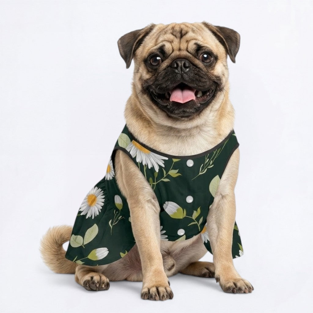 Bonnie - Pug Princess Dress