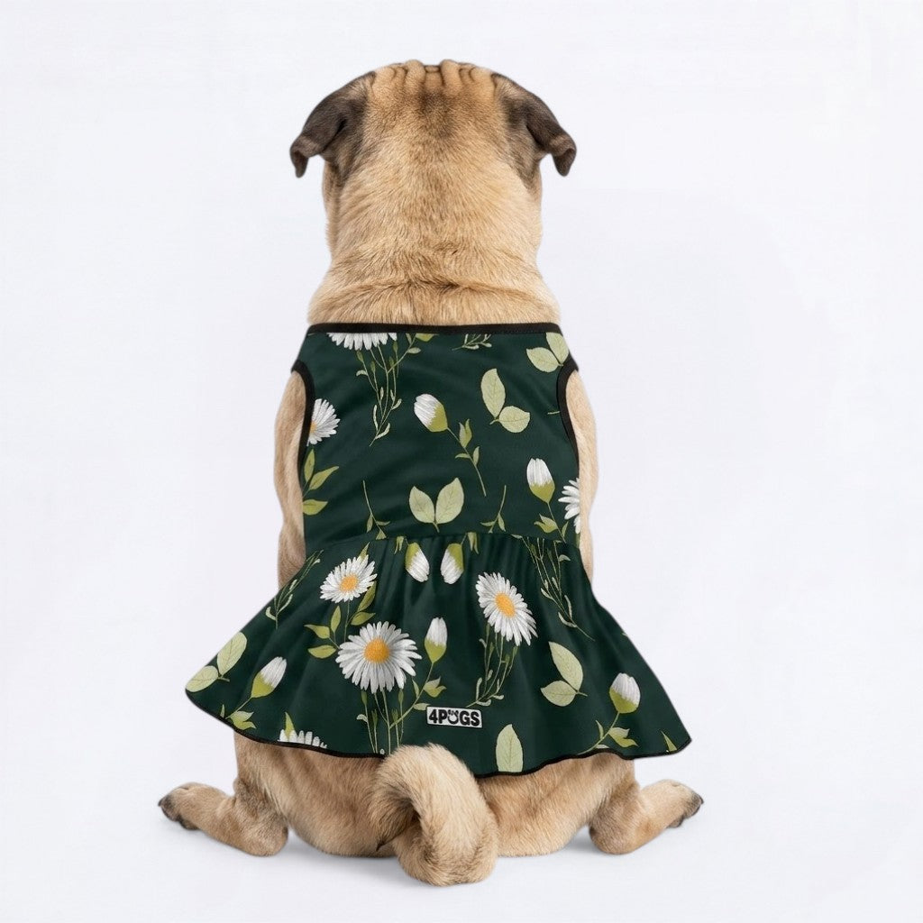 Bonnie - Pug Princess Dress
