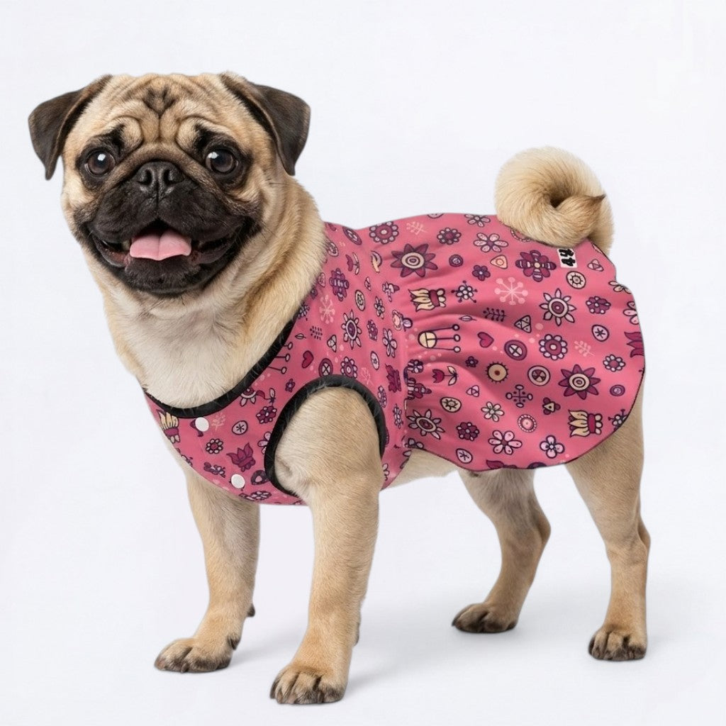 Luna - Pug Princess Dress