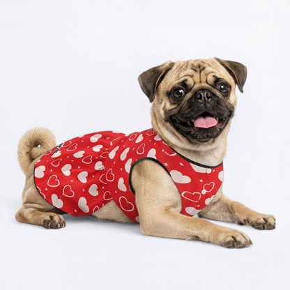 Winnie - Pug Princess Dress