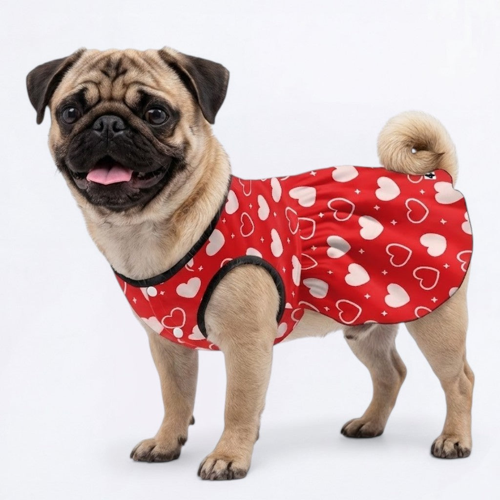 Winnie - Pug Princess Dress