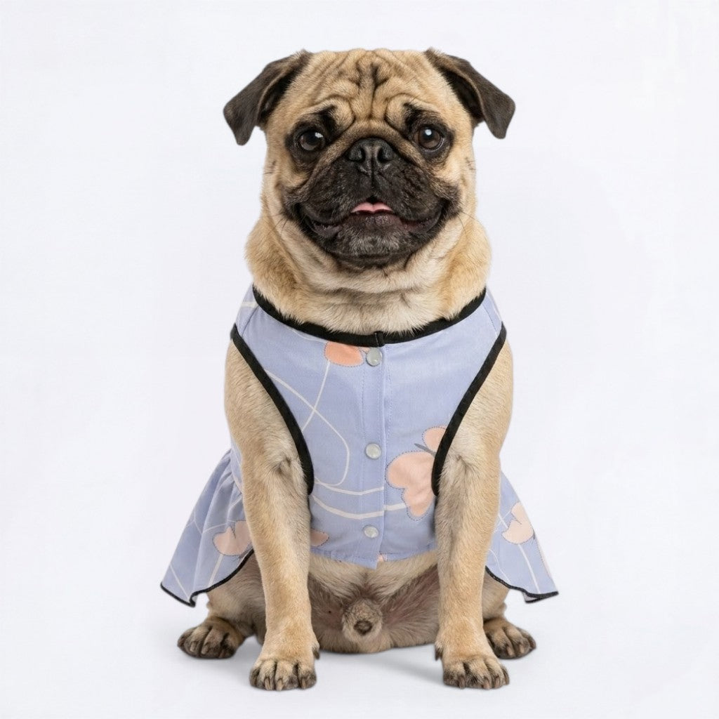 Ruby- Pug Princess Dress