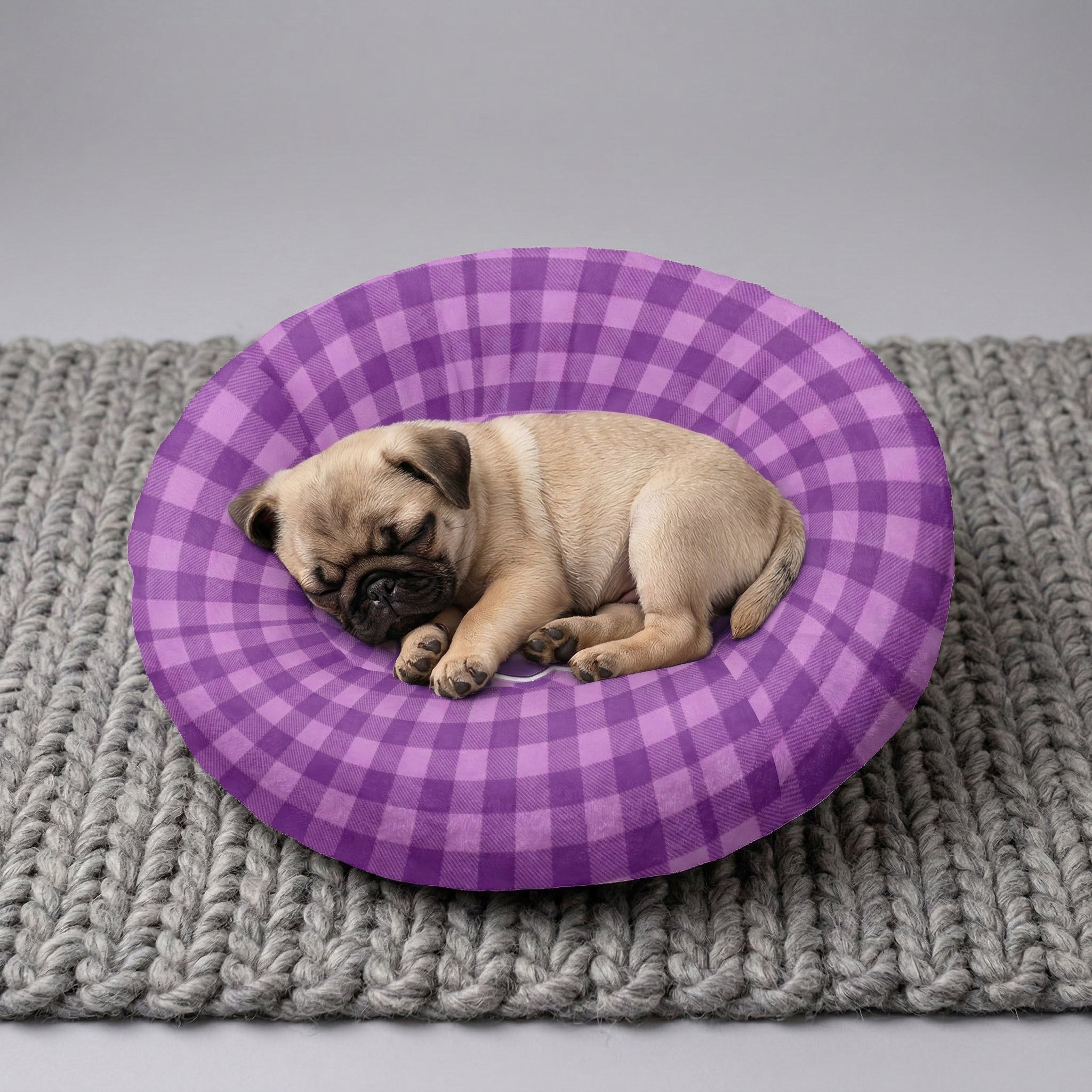 Blaze - Bed For Pug