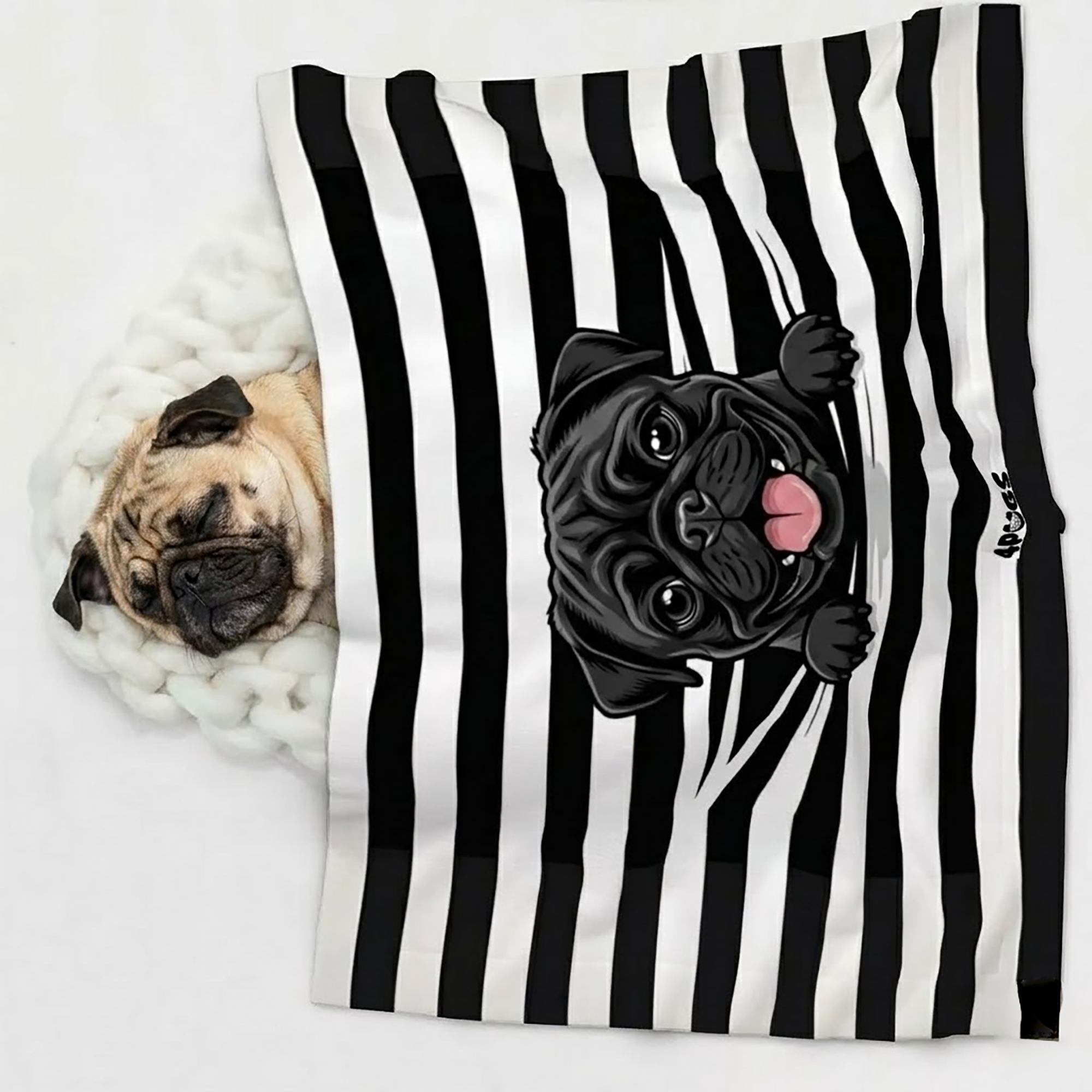 Daisy - Pug Blanket
