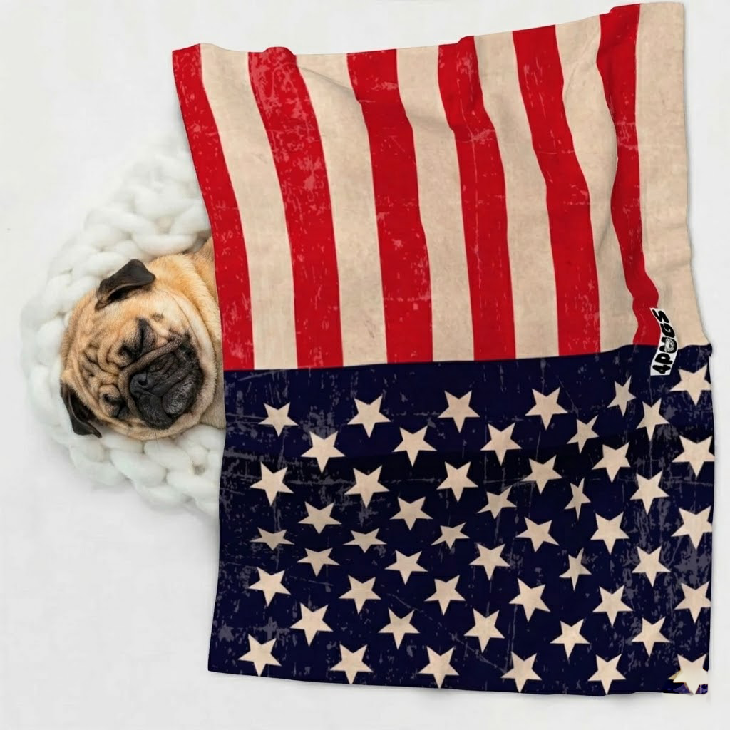 Odin - Pug Blanket