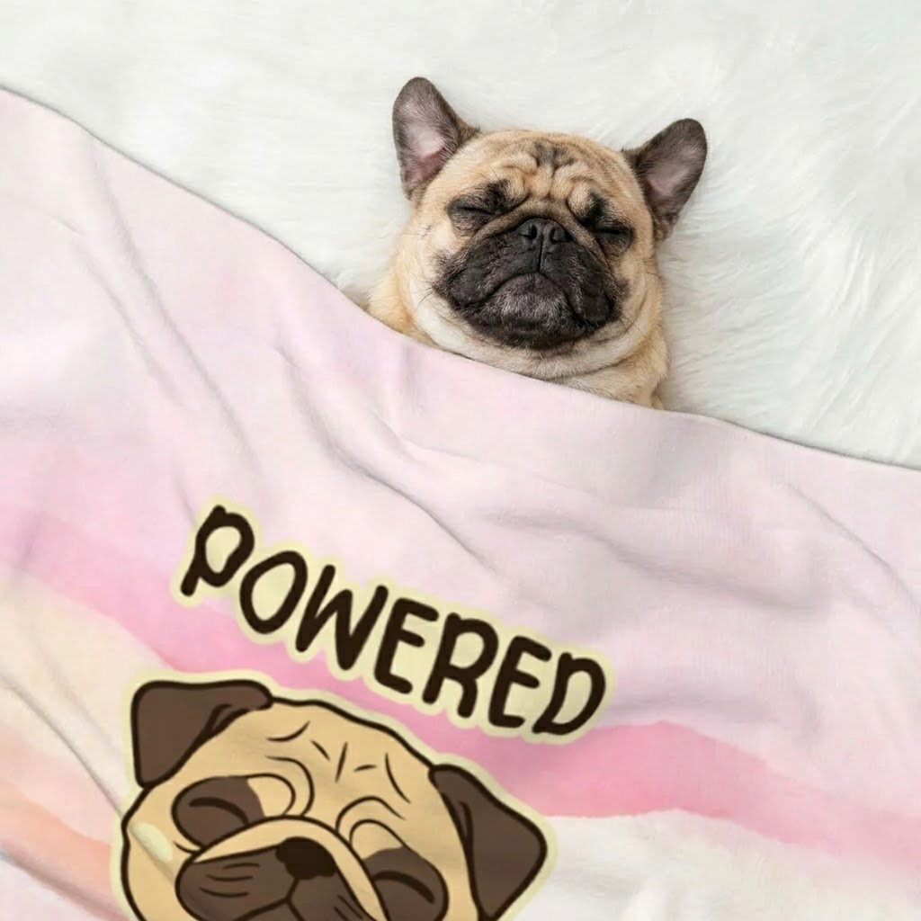 Finn - Pug Blanket