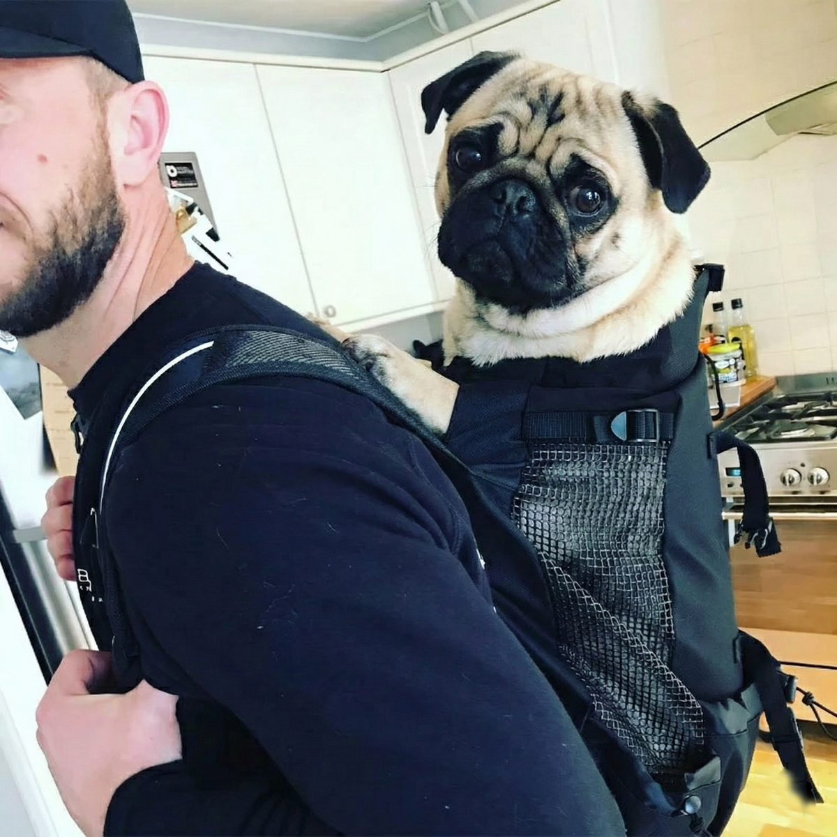 CarriPug Pug Backpack Carrier – Breathable Outdoor Travel Dog Carrier