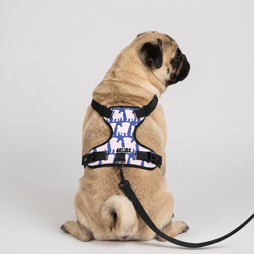 Cash - Pug Dog Harness