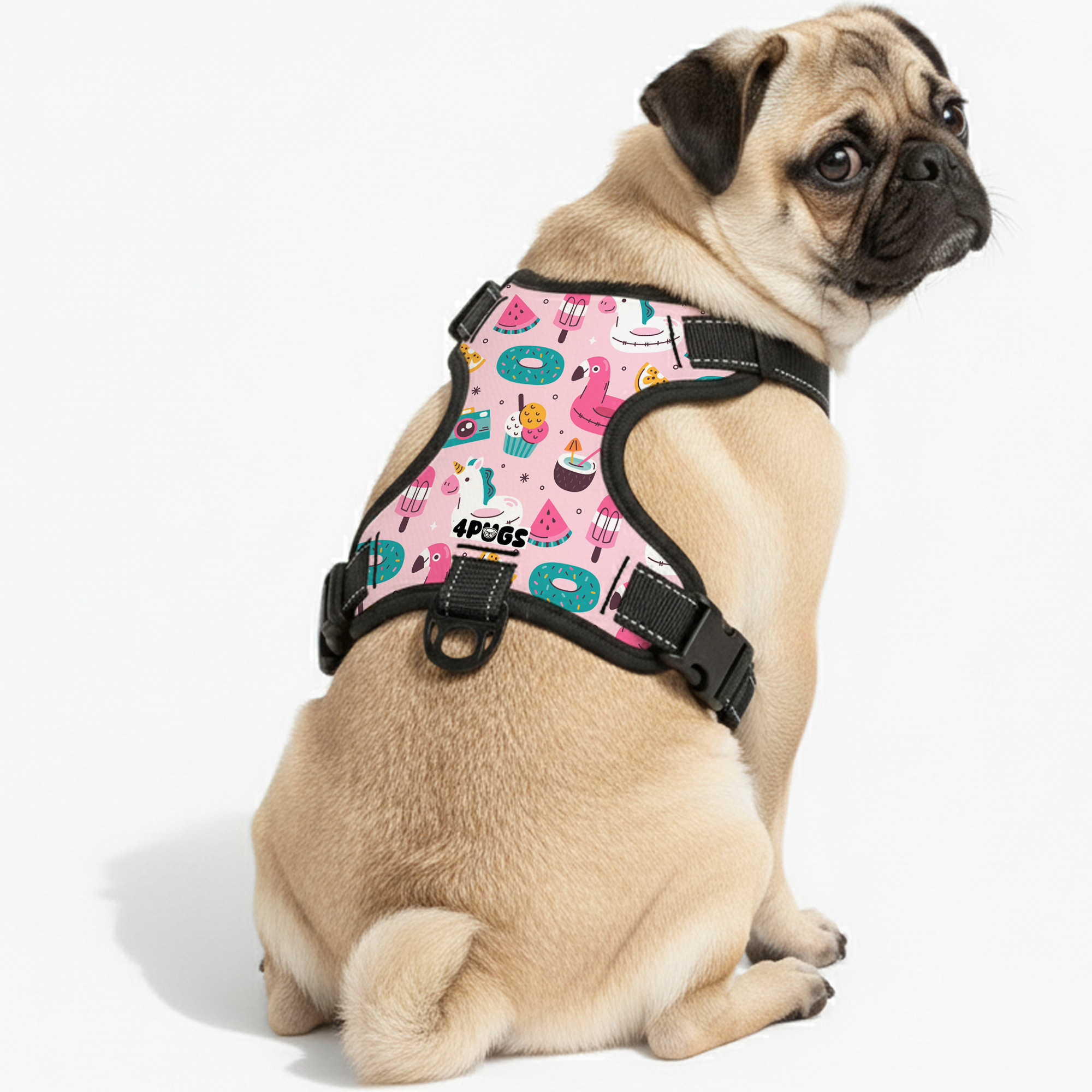 Stella - Pug Dog Harness