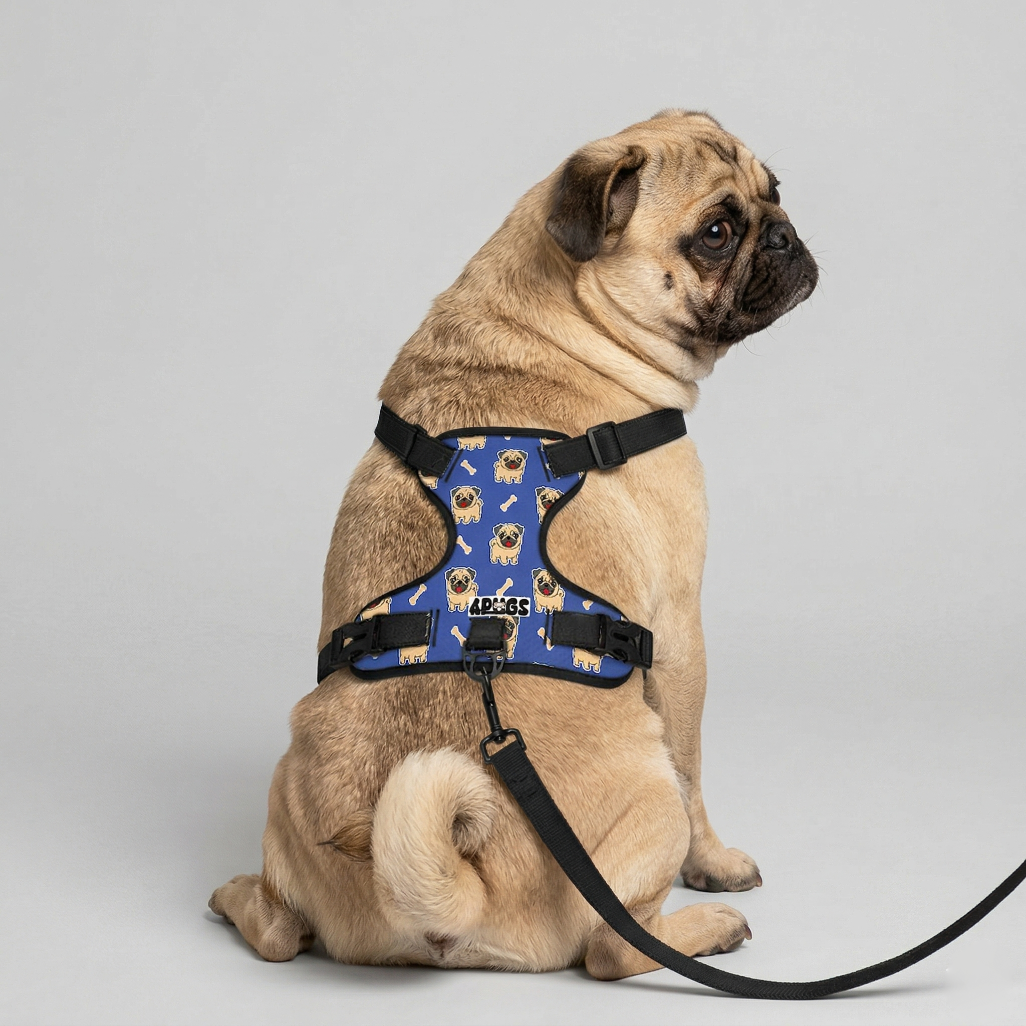 Bruno - Pug Dog Harness