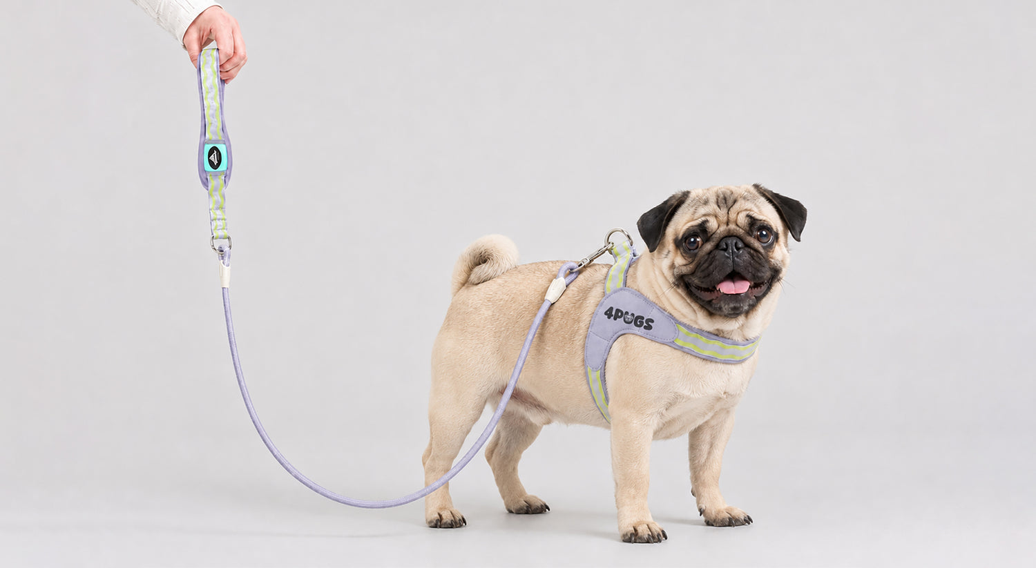 4PuGs.com