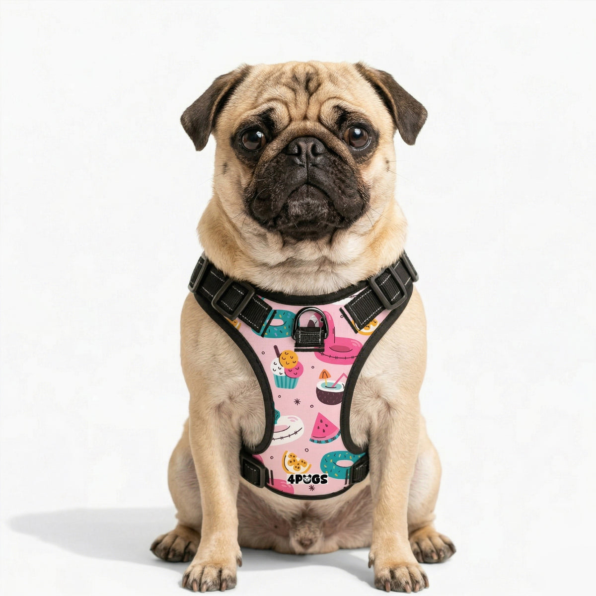 Stella - Pug Dog Harness